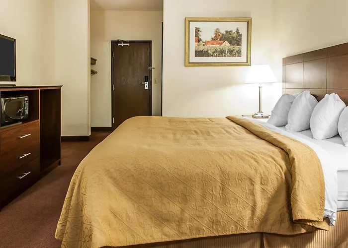 Quality & East Hotel 4*