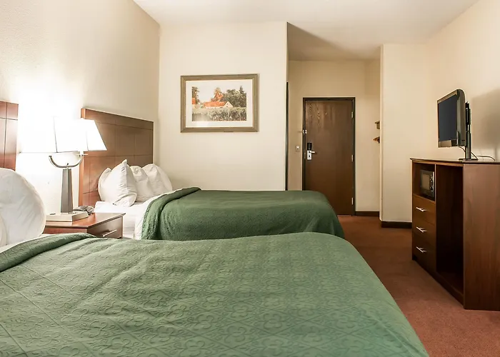 Hotel Quality & East 4*