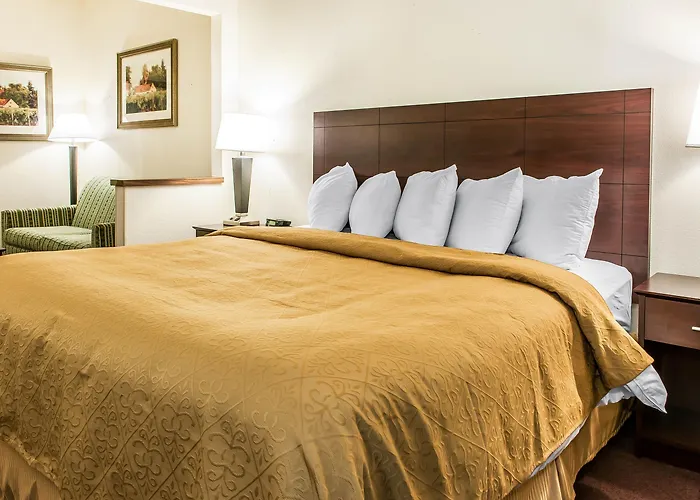 Quality & East Hotel