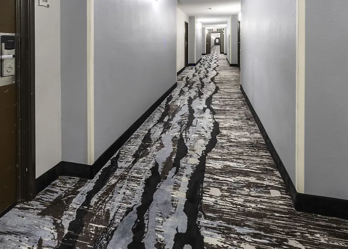 Hotel Quality & East 4*