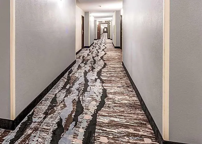 Hotel Quality & East 4*